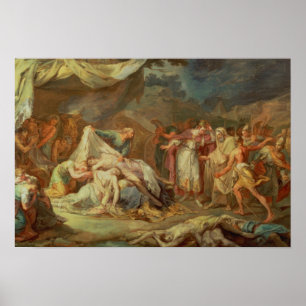 Pôster Ciro o Excelente