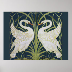Pôster Cisne Art Nouveau Dois Cisnes