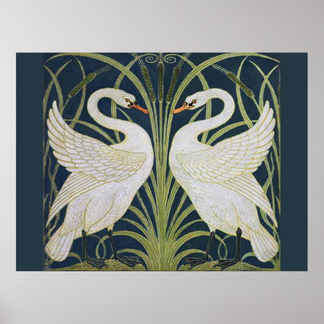 Pôster Cisne Art Nouveau Dois Cisnes  (Frente)