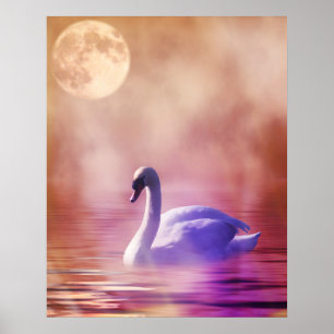 Pôster Cisne branca que flutua em um lago enevoado