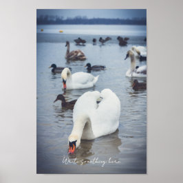 Poster Cisne branco