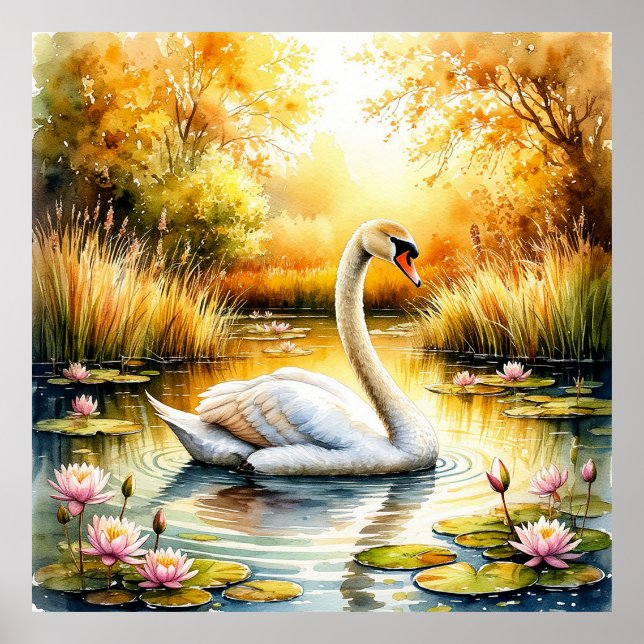 Poster Cisne Elegante Deslizando em Lago Tranquilo (Frente)