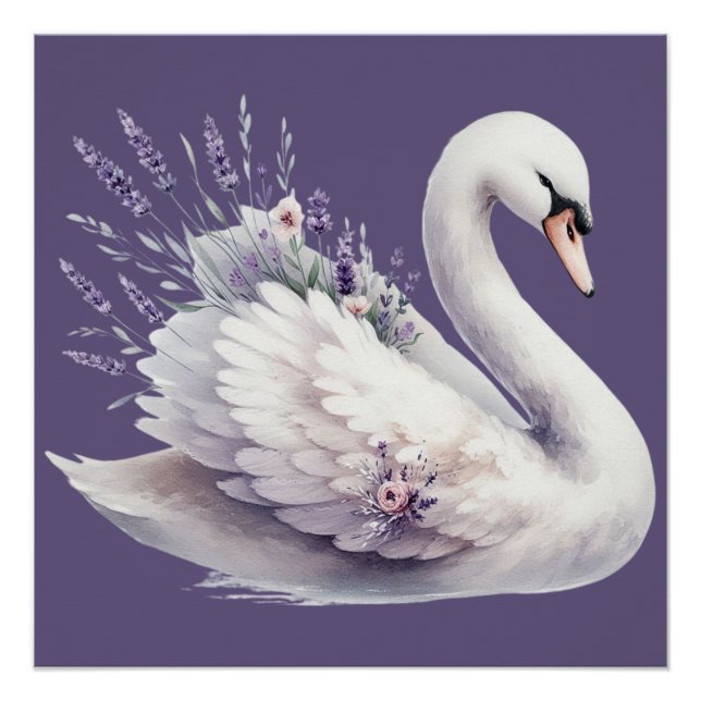 Pôster Cisne em Aquarela com Florais Lavanda (Frente)