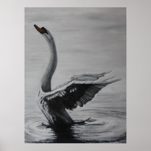 Pôster Cisne (lado adequado)