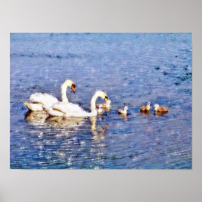 PÔSTER CISNES (Frente)