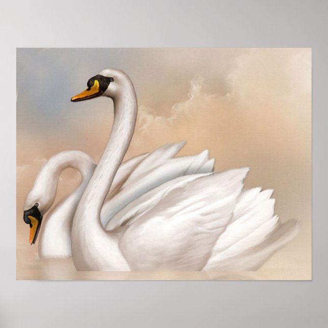 Poster Cisnes em um lago (Frente)