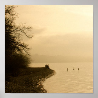 Pôster Cisnes em um lago