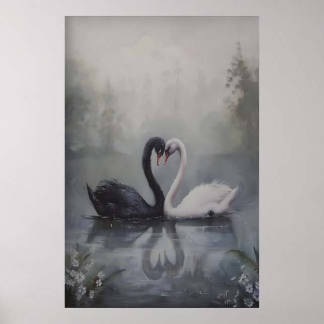 Poster Cisnes pretos e brancos em lago enevoado escuro (Frente)