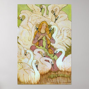 Poster Cisnes selvagens