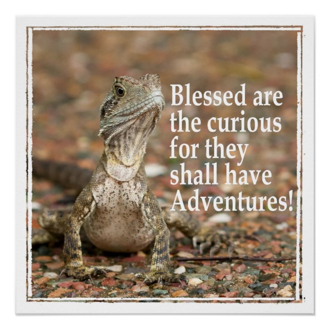 Pôster Citação Curiosa (Frente)