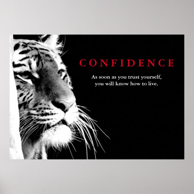 Poster Citação de Confiança do Tigre Branco Preto - Inspi (Frente)