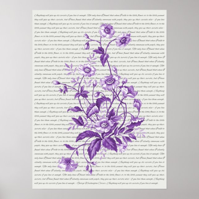 Poster Citação de George Washington Carver - arte em muro (Frente)