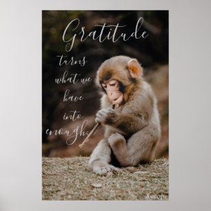 Poster Citação de Gratidão de Aesop, macaco