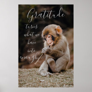 Poster Citação de Gratidão de Aesop, macaco