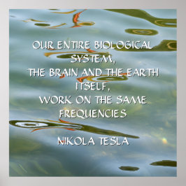 POSTER CITAÇÃO DE NIKOLA TESLA - MESMAS FREQUÊNCIAS -