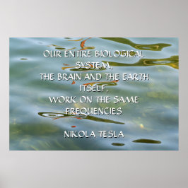 POSTER CITAÇÃO DE NIKOLA TESLA - MESMAS FREQUÊNCIAS -