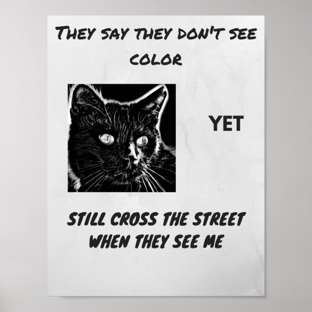 Poster Citação do gato negro superstição do racismo (Frente)