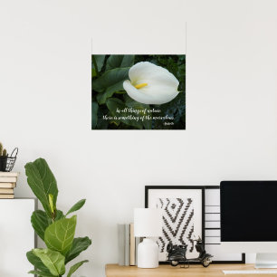 Poster Citação Filosófica de Aristóteles com Lírio de Cal
