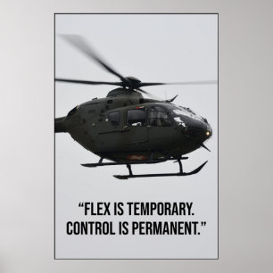Poster Citação Flex É Temporário Controle É Permanente