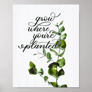 Poster Citação Inspiracional "Cresça Onde Você Está