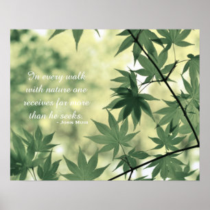 Poster Citação Inspiradora da Natureza