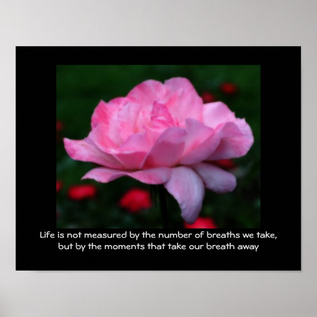 Poster Citação Inspiradora da Vida de Rosa Rosa Atitude (Frente)