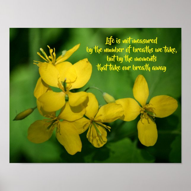 Poster Citação Inspiradora de Vida Flores Silvestres  (Frente)