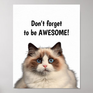 Poster Citação Motivacional, não se esqueça de ser um gat