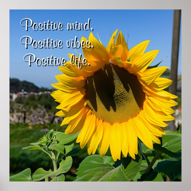 Poster Citação Personalizada Simples de Imagem de Girasso (Frente)