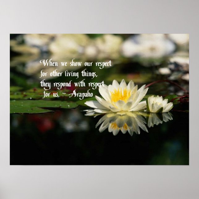 Poster Citações Americanas Nativas (Frente)