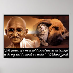 Pôster Citações animais de Gandhi