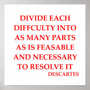 Poster Citações de DESCARTES