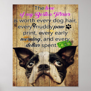 Poster Citações Engraçadas Sobre Boston Terrier Presente