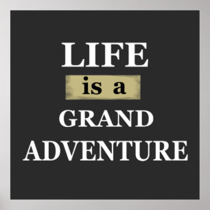 Poster citações motivacionais sobre afirmações da vida