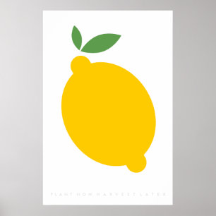 Poster Citações retros dos anos 70 dos anos 60 do poste