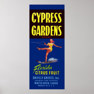 Poster Citrinos de Florida dos jardins de Cypress do