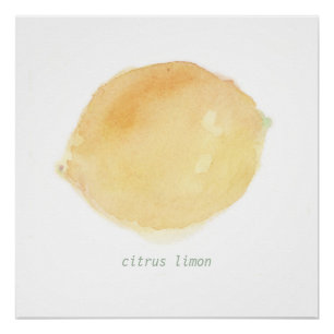 Pôster citron