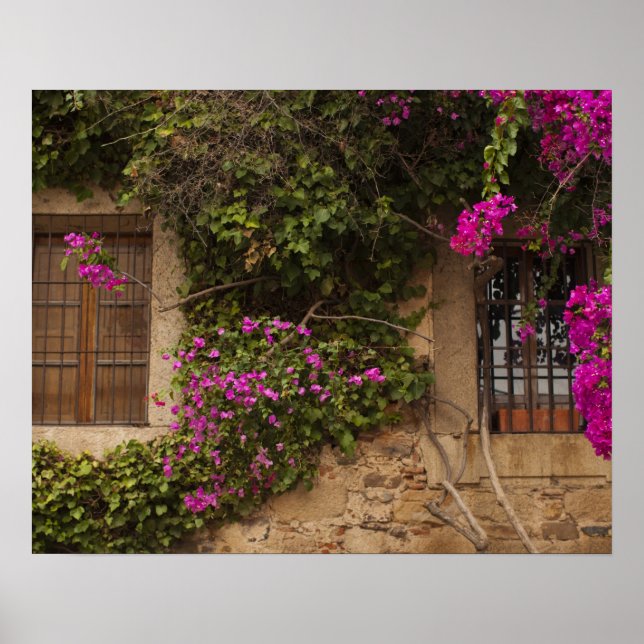 Pôster Ciudad Monumental, edifícios cobertos de flores (Frente)