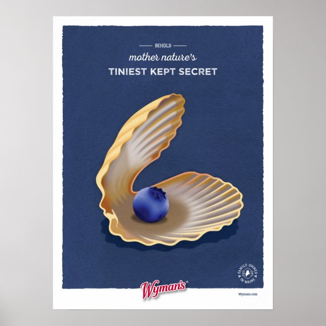 Poster Clam Shell WBB (Frente)