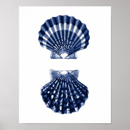 Poster Clam Shells Marinho Beach Decor