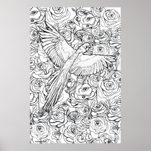 Poster Clareza do Papagaio
