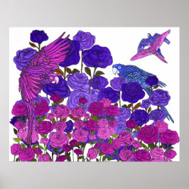 Poster Claridade do papagaio