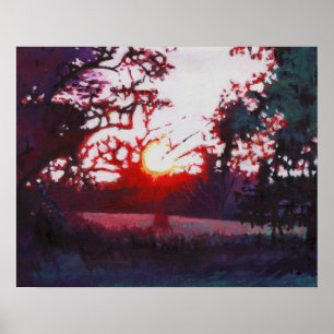 Poster Claro aterrando 2013