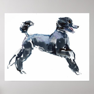 Pôster Classe completa 2013