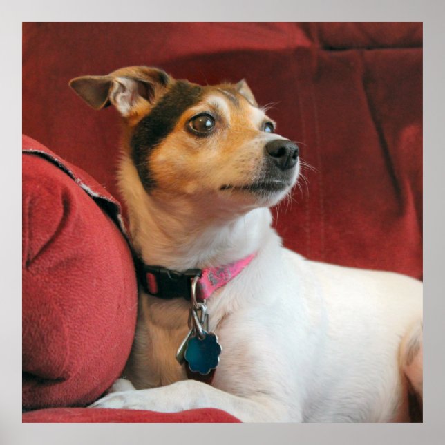 Poster Clássico (Frente)