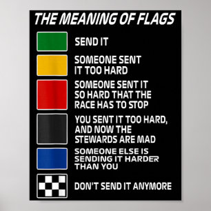 Poster Clássico O Significado Das Bandeiras De Corrida Mo
