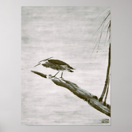 Poster Clássicos Zen - Sesshu - Garça e Salgueiro