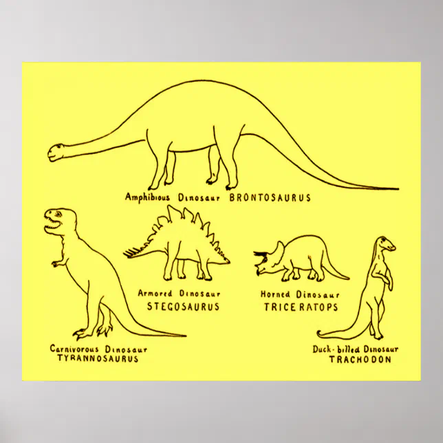 Classificações dos dinossauros