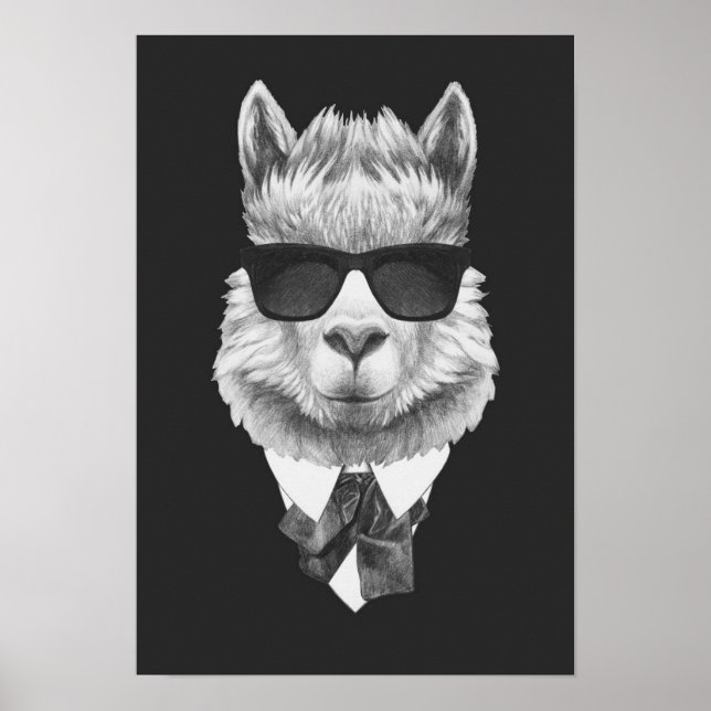 Poster Classy Llama (Frente)
