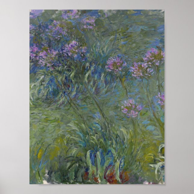 Poster Claude Monet - Agapanthus (Frente)